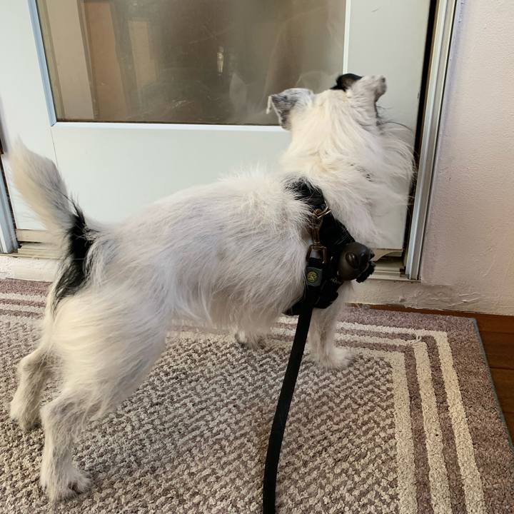 2296d3bb c2aa 42e3 ade5 9512a263613c 1713233062490