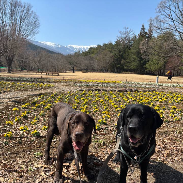 2296d504 d99a 47b1 905d 0bfa626b786e 1774177196291