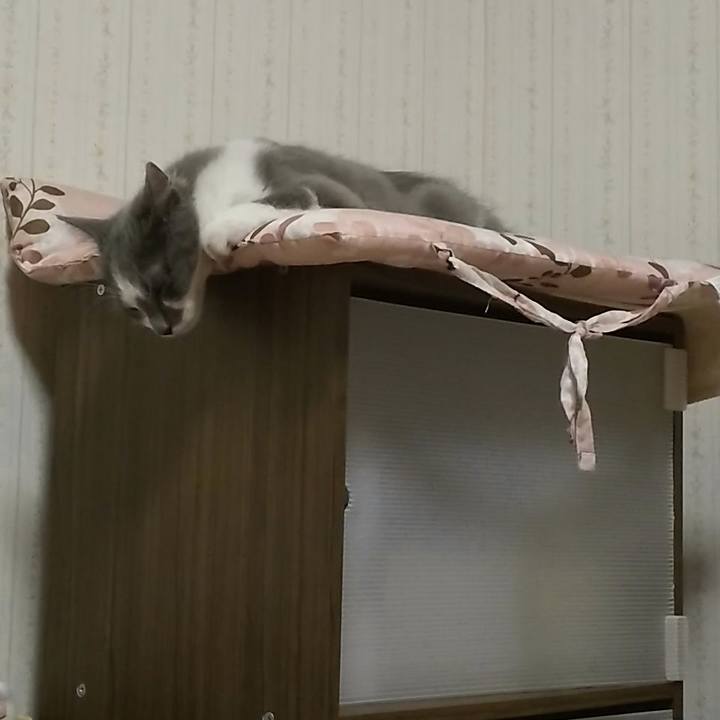 2296db6c 247a 47d8 9b25 7a82d63fdf82 1567291022531