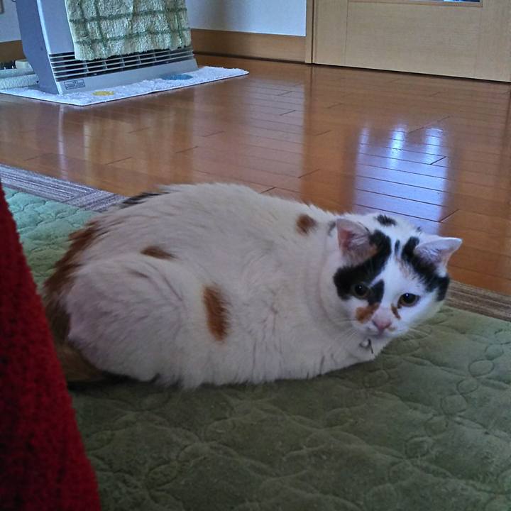 2296f144 f099 474b 9fca 3dfb90c57416 1509658938689