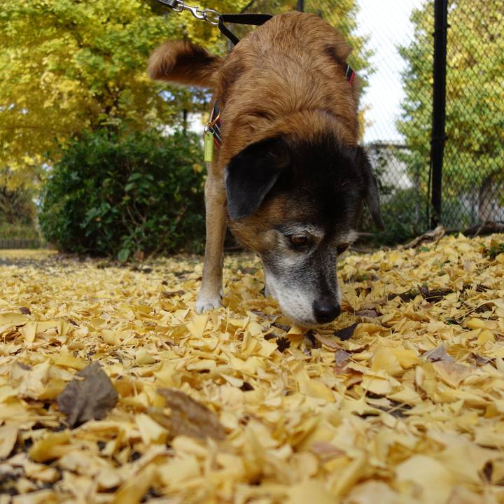 2296f59c 742e 492b 8465 72612091195d 1543111200823