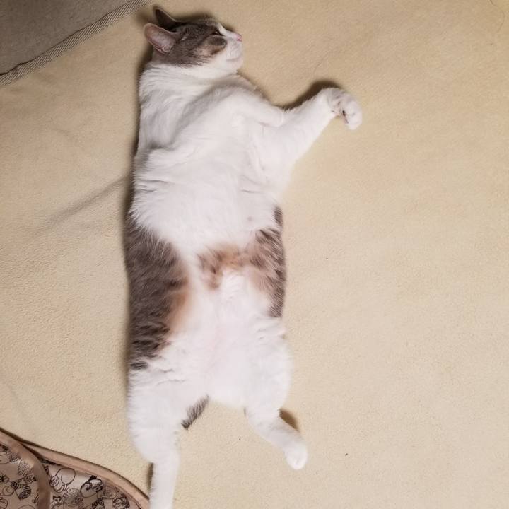 2296fea0 4bdc 4f12 b903 36c8c1ec7bbe 1677679770569