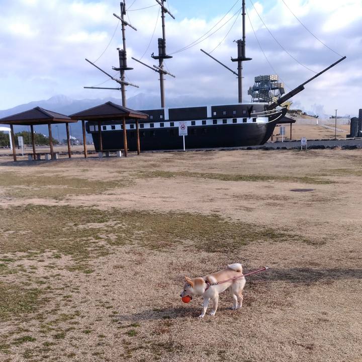 229726bb 12d7 49e6 809f 12af2e533d7d 1517221780548