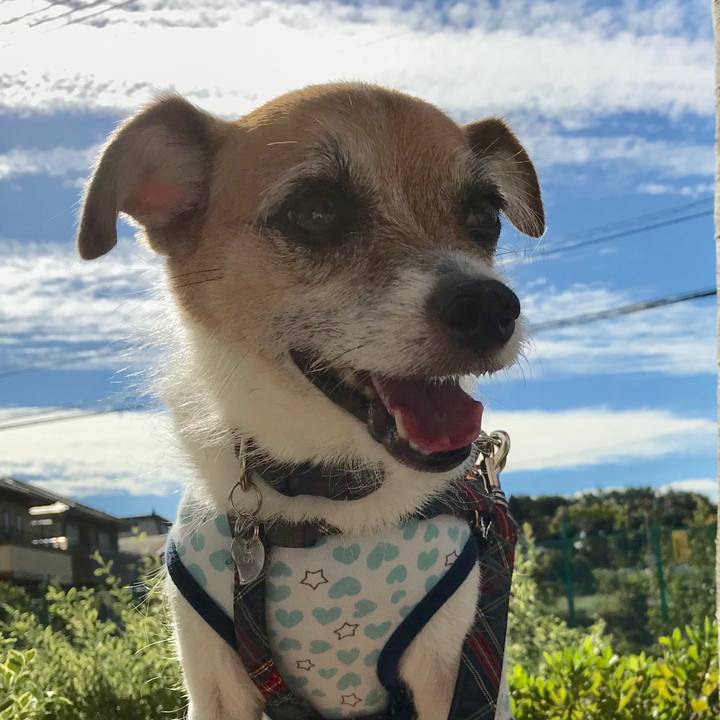 22972d68 814a 4da6 8f5d 2bb44fb64106 1569284104471