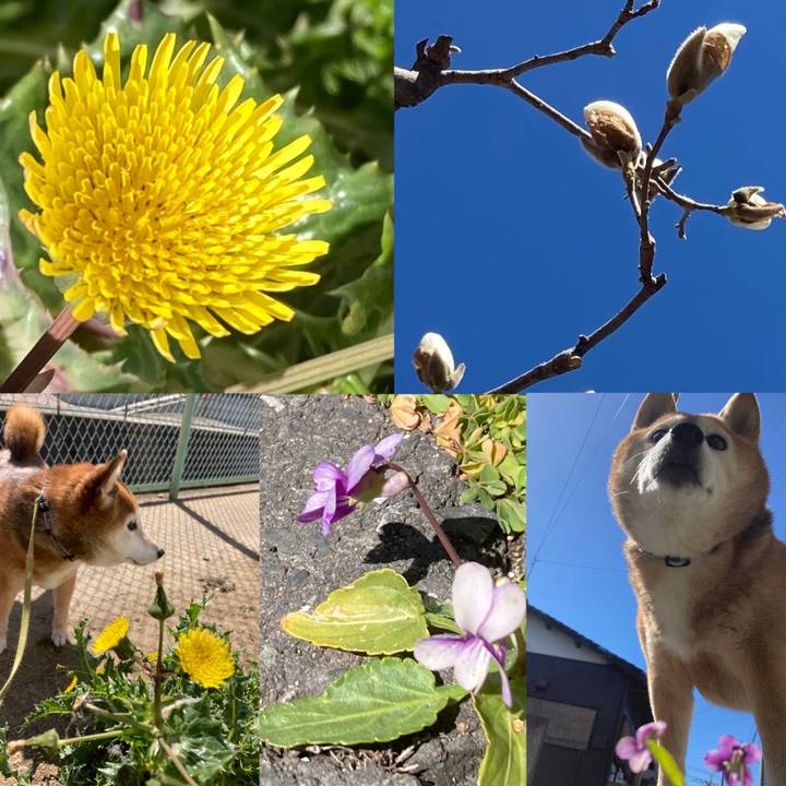 22978c61 0c8a 4a1e b1b1 746701ef9084 1710048201935