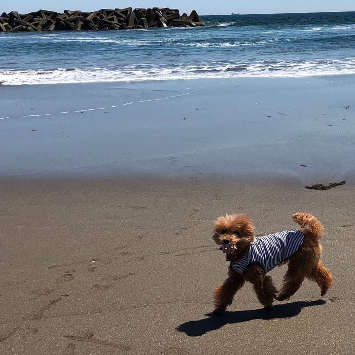 2297acef 606f 45b3 9327 78a896e734ba 1556946744763