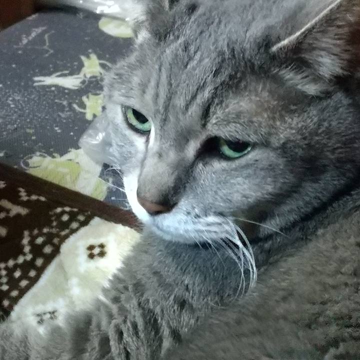 2297c71c 362a 4925 98f5 10fd31d08d45 1679048149891