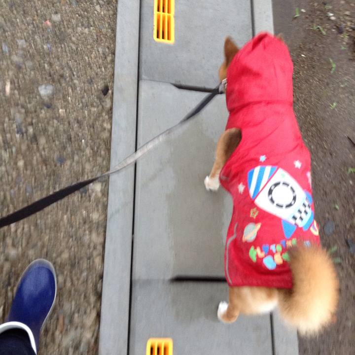 2297f21d b393 41de 8672 f2652186227b 1537521765674