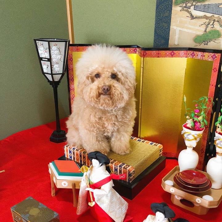 2297f2f7 3b16 4d3a 8198 c46764775d5b 1520050900052