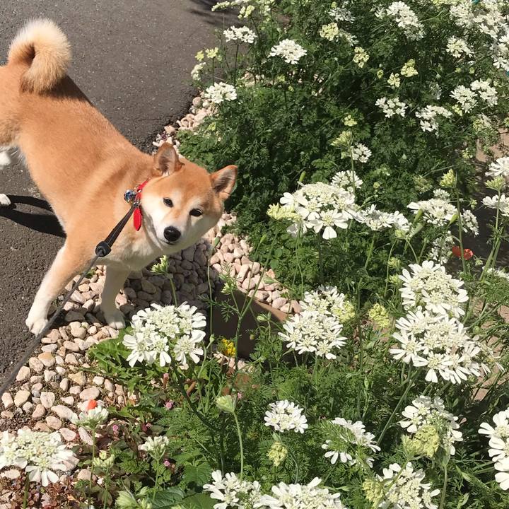 2297f991 ca99 4022 865e 6934121fde79 1557375085735