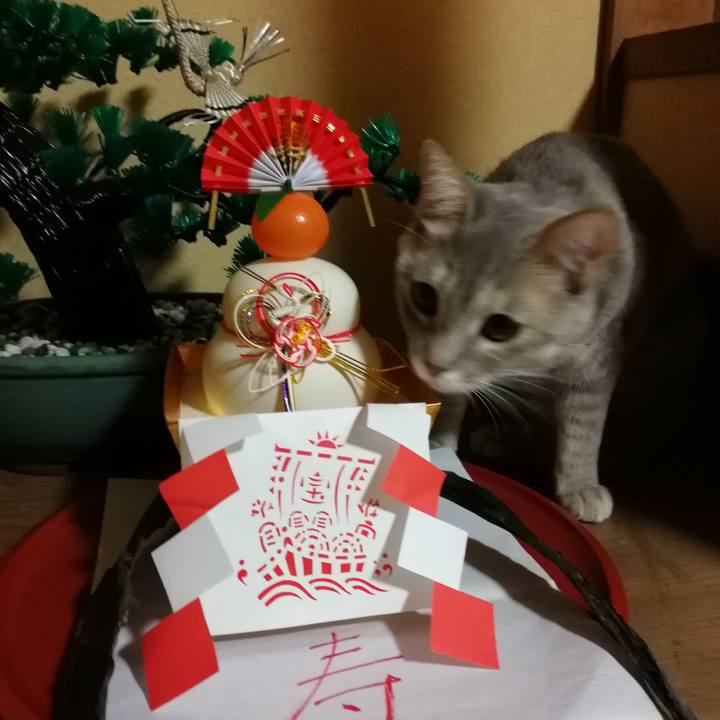 22988e85 4b8b 4c28 bb21 e43c37b89b02 1514640722225