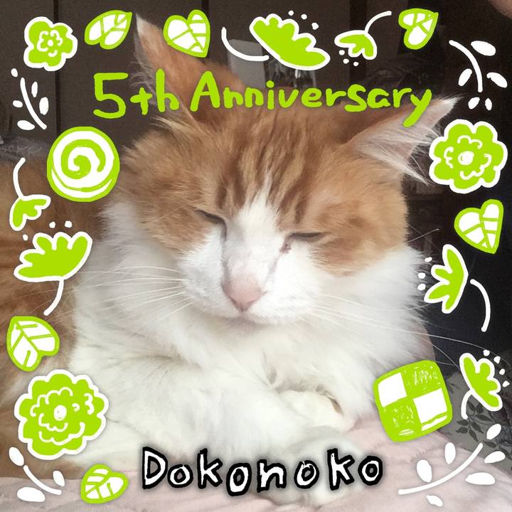 22989579 ff5a 4cd7 9715 33e0a3e53256 1622864657201