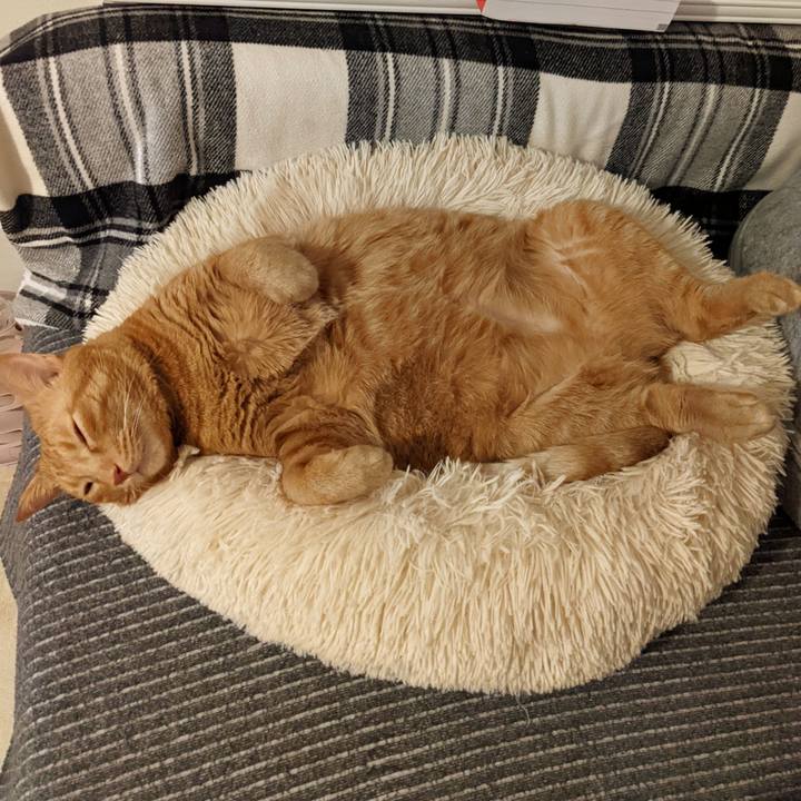 2298cc8a 2a6c 46b8 af4c 64520f2dbf1b 1658711777918