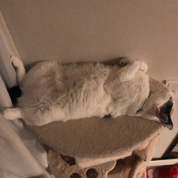 2298efa1 998d 4cad ae93 4d8561795253 1532964118694