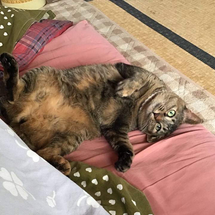 22991a1f ef62 4c73 b0b3 c3d20a0f74db 1674273633141