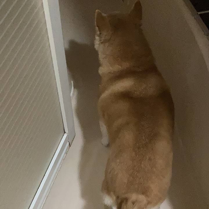 22994072 5bee 4af4 8035 7fd7a5fbd8a1 1615627493304