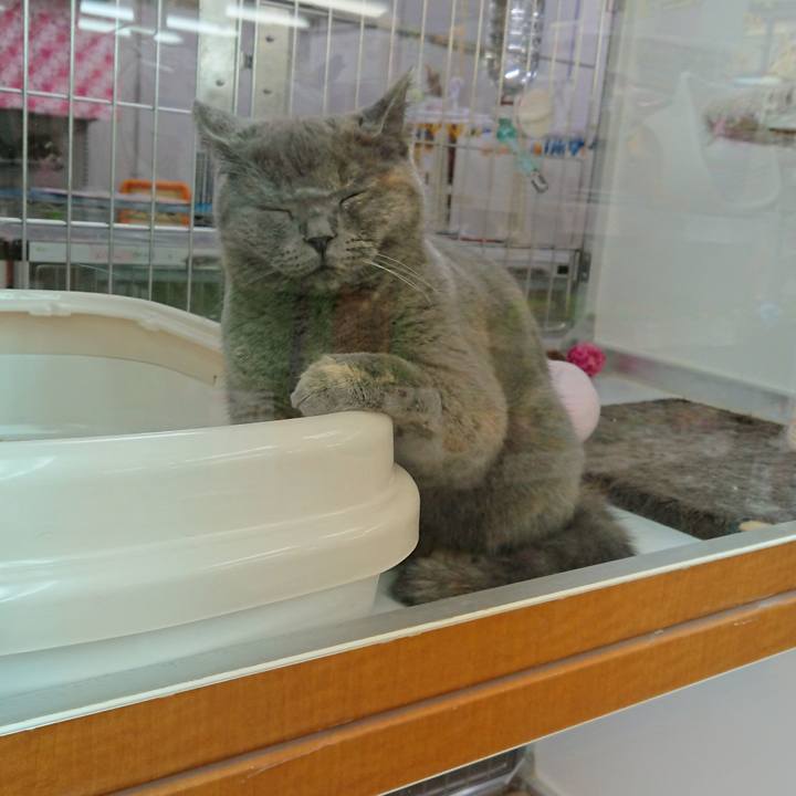 22995e23 1d13 4f75 94eb 2d2e304a581c 1535339534272