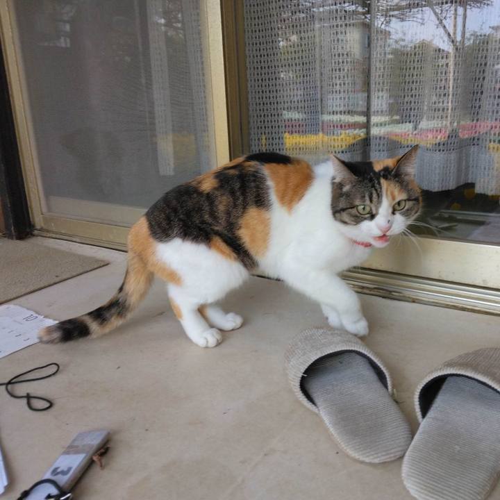 22996422 98ea 4ee4 a73b 0421906462dd 1680612382132