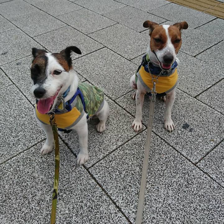 229984db 1ca4 4ed3 a58f fb9c8b26f8a8 1567893915146