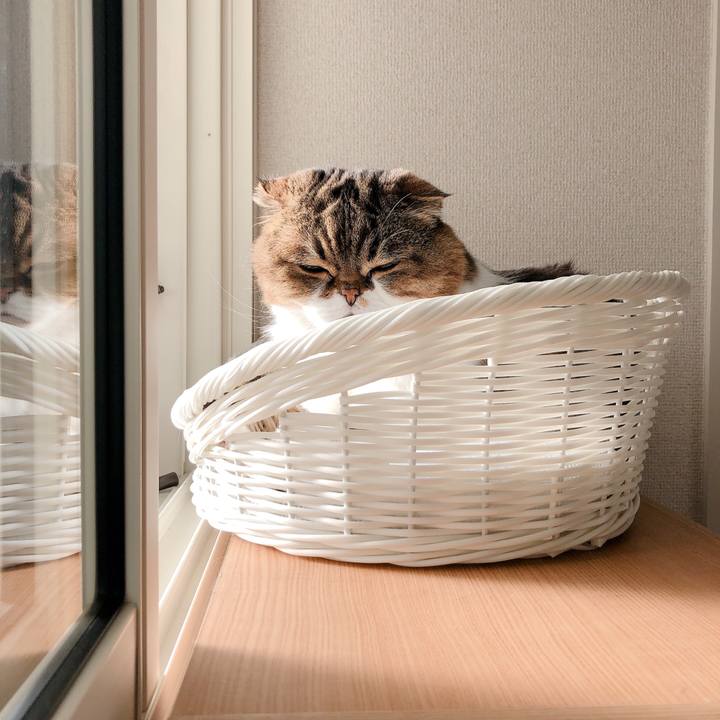 22998535 6949 43c7 b107 50009b61212a 1590309042462