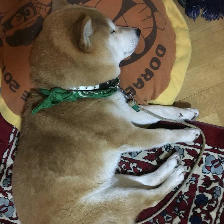 22998fb5 f2ff 4d7a 9d19 7ef07a2f1993 1522669349128