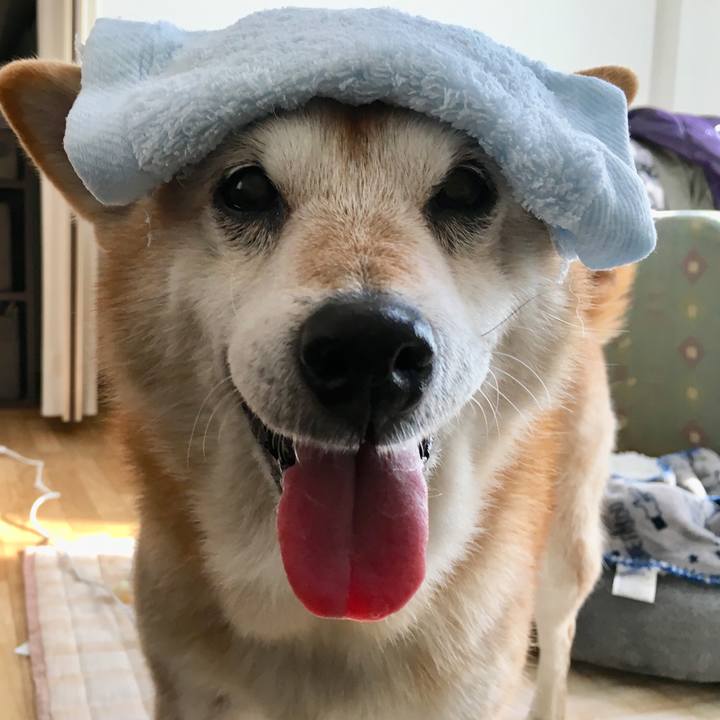 2299a365 7eb2 42c1 b1db 1d02b20e7c60 1515736705772