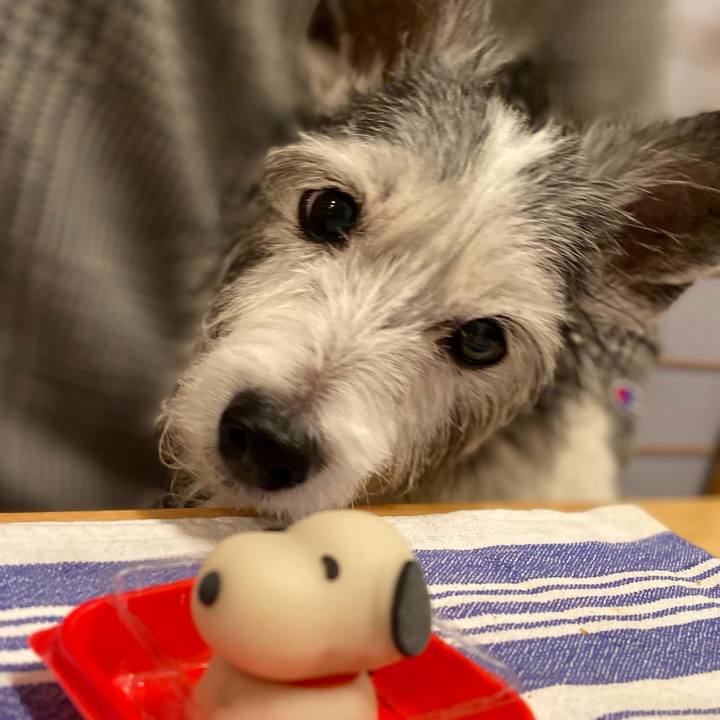 2299d384 b0cf 4a71 881b 170c38db8cae 1611489486180