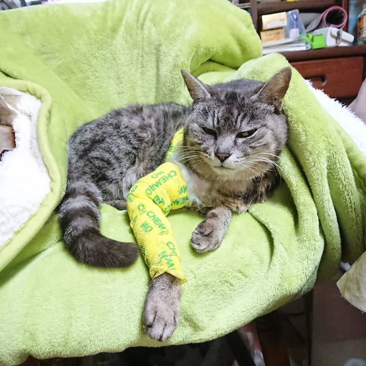 2299eab7 24aa 431a b1b6 fd4ca149c2af 1586434411723