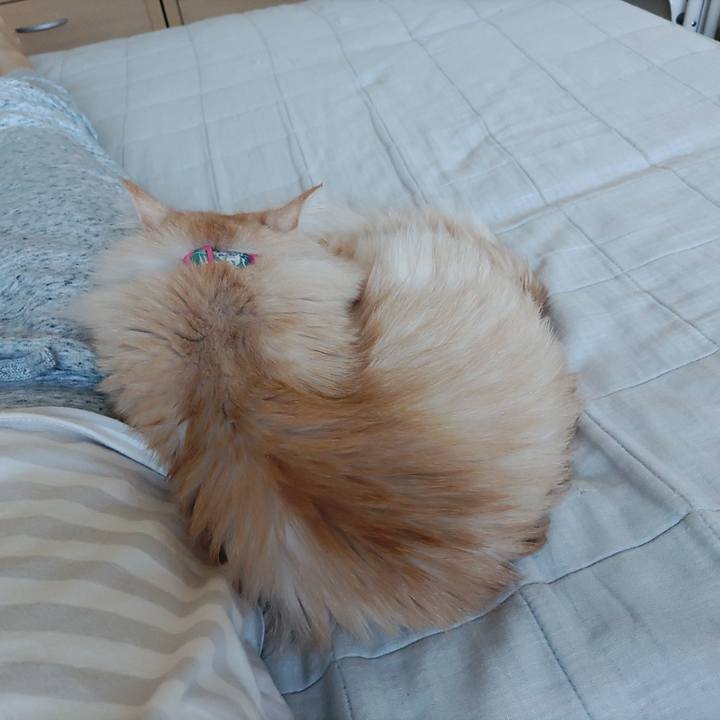 229a5c57 25c8 4f57 a08d fb036ed558b5 1658544050061