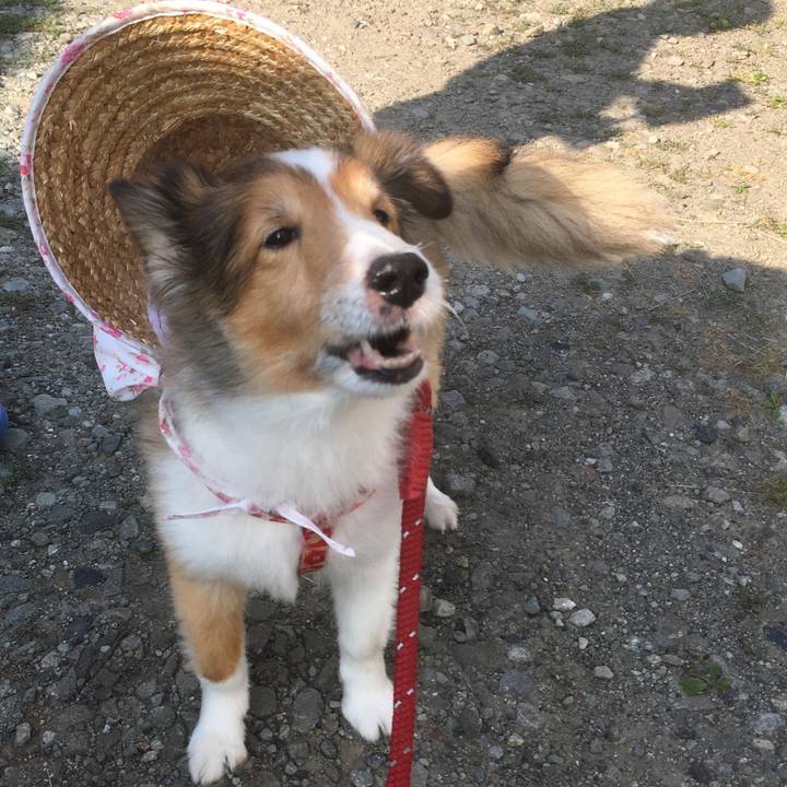 229a8856 9432 45d4 aba2 8b9fbc822a38 1690689623888