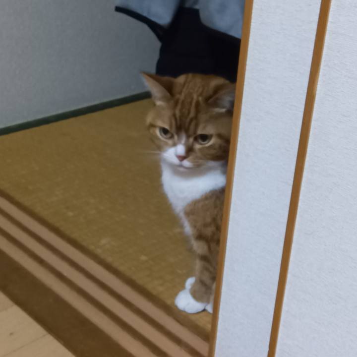 229a92ef 9d11 4fba ac61 817b34292ecb 1774268895444