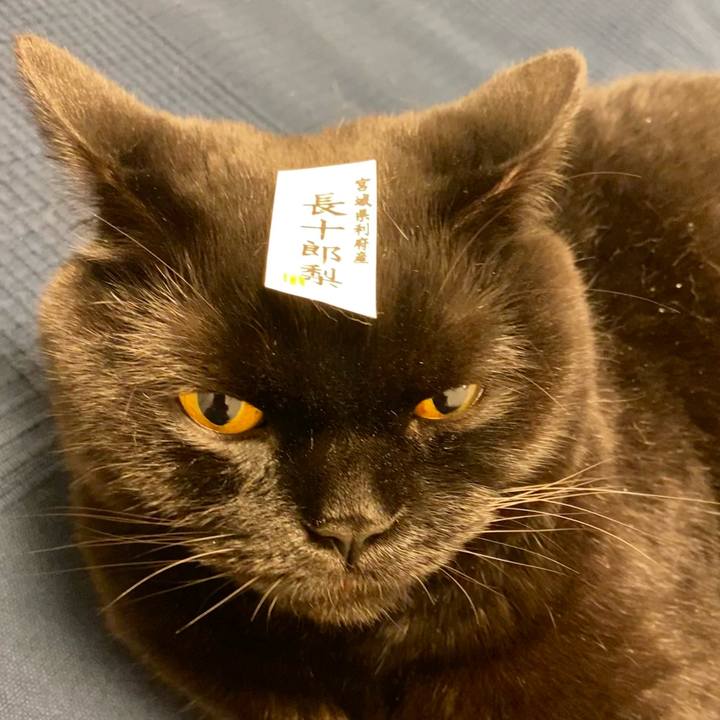 229a9c22 8989 4682 a92d ac443d71f330 1635415477628