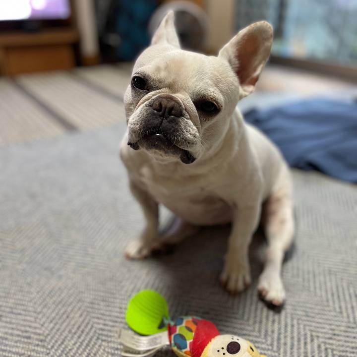 229add66 e8c7 418b 85cf 3106c5cc3fa5 1728428541315