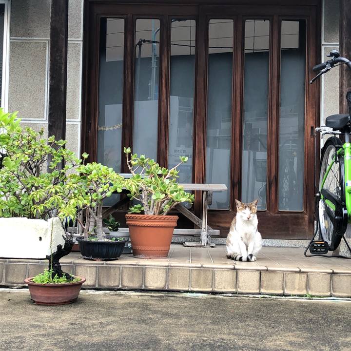 229b12d6 0223 45be a653 af5c7811670e 1562345239278