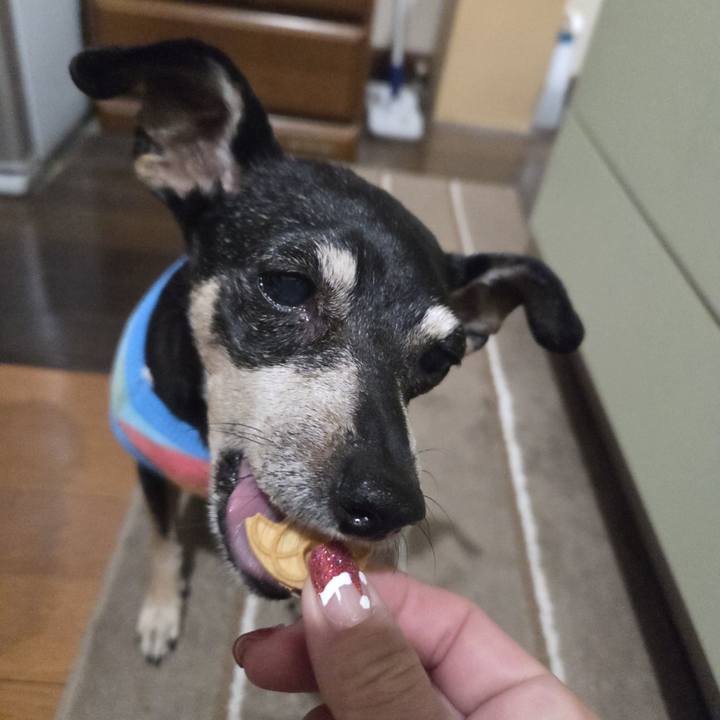 229b56bf 17f5 42a3 8180 843f1ed3028d 1764532105652