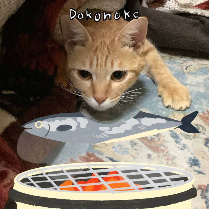 229b68f3 1811 4e32 aeef f1c4bd740dbb 1762876387352