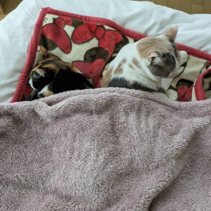 229b79f8 cb15 4651 aae1 707afc36e477 1703479357590