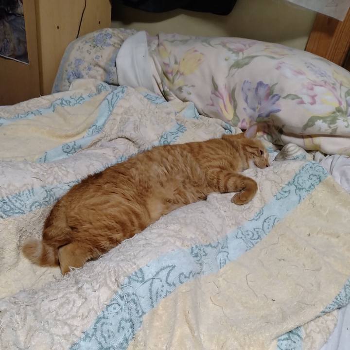 229bc605 f8cf 4e40 a6ec a21dd3ef9064 1695125698254