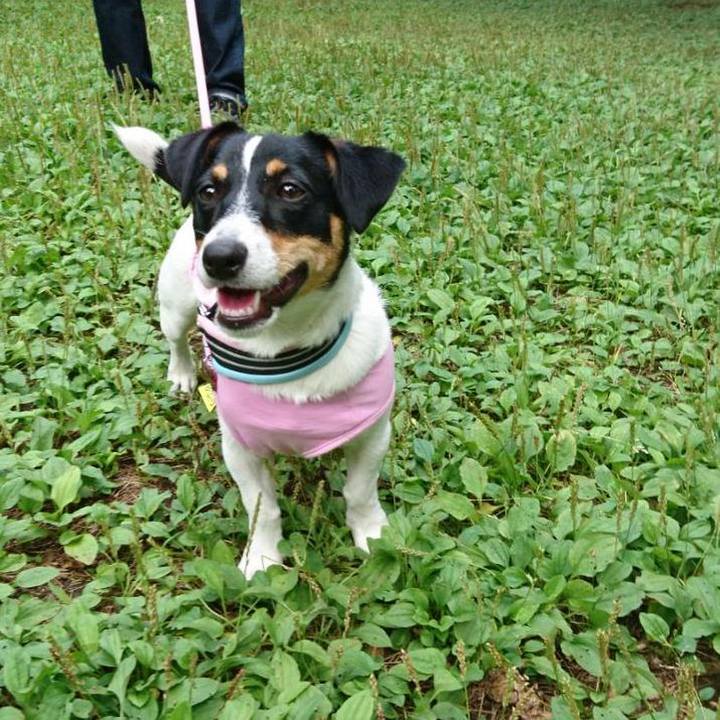 229beaa9 7f81 46fa ad45 c54dc2ba3056 1529218959098