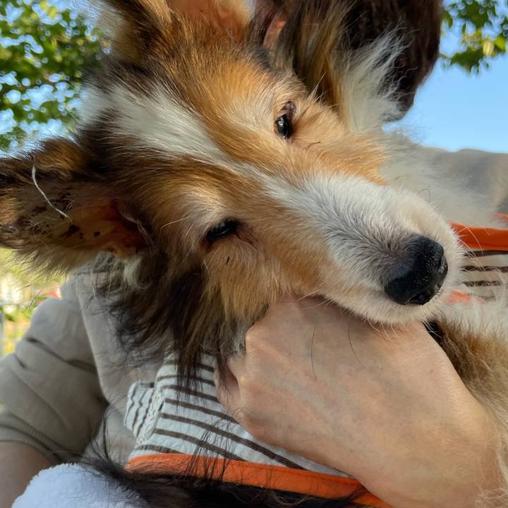 229bf268 904f 4487 8925 bcad8f135011 1664801032776