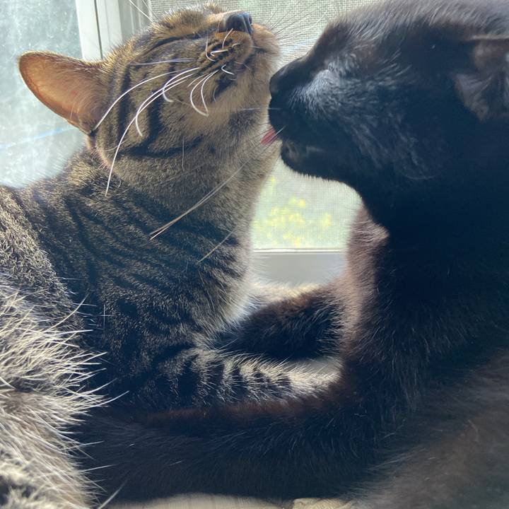 229c0bbe 6118 4761 870f ddc944387675 1634213105931