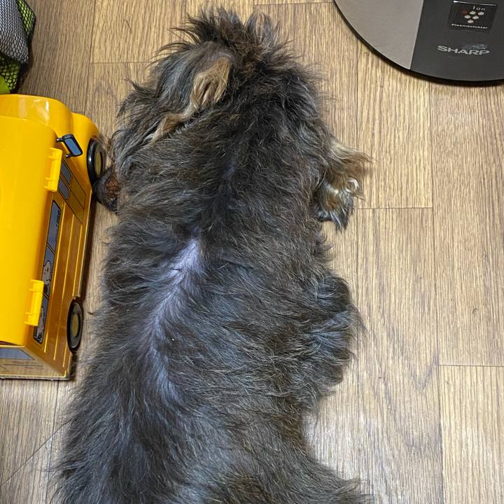 229c1a7f 35ca 476c 8538 6b9752c024b8 1606013983781