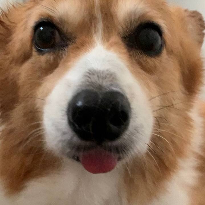 229c3753 dd33 4c07 be4a 04e3bd0794ba 1693202392364