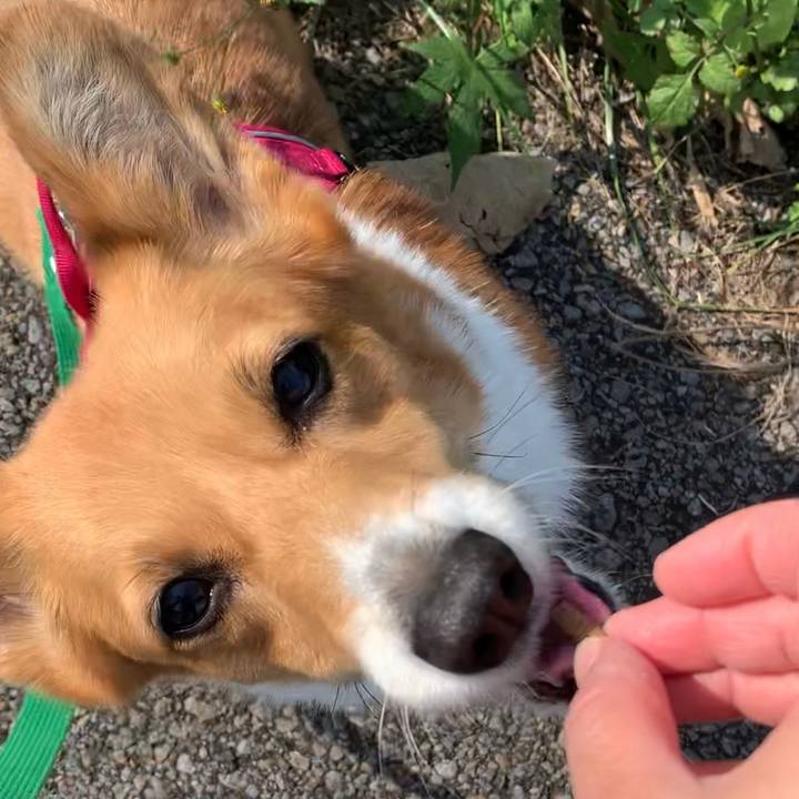 229c51c7 61e1 4485 a160 3bad503e7823 1635829398656