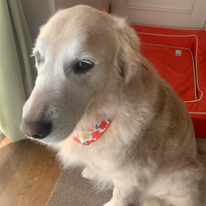 229c5258 a156 4464 bc27 a5fd32359682 1613791433190