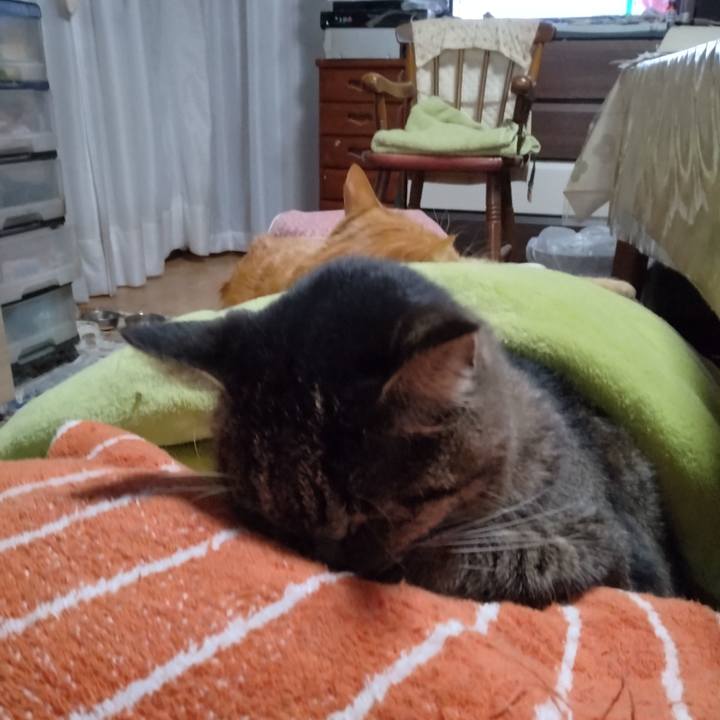 229c5657 60f8 42b6 b4df 57be0705dea9 1700181489479