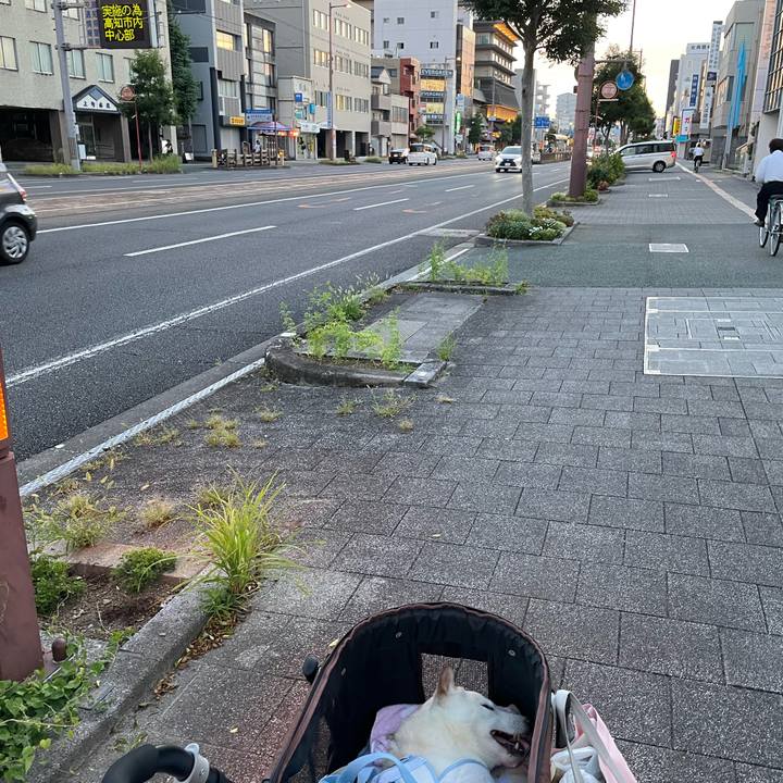 229c844a d8f6 4d87 bd3d 6a2c3edbd403 1660827984982