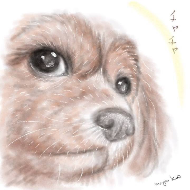 229cb676 739b 4646 9e17 c729afd5622d 1581291339116