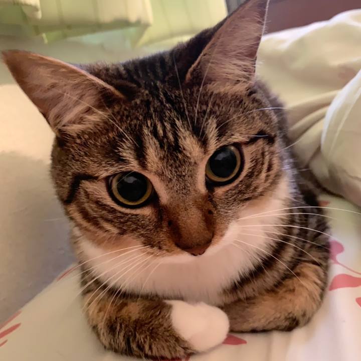 229ccf7f 3ae0 4b94 bf32 d4bdfb120e23 1558622912973