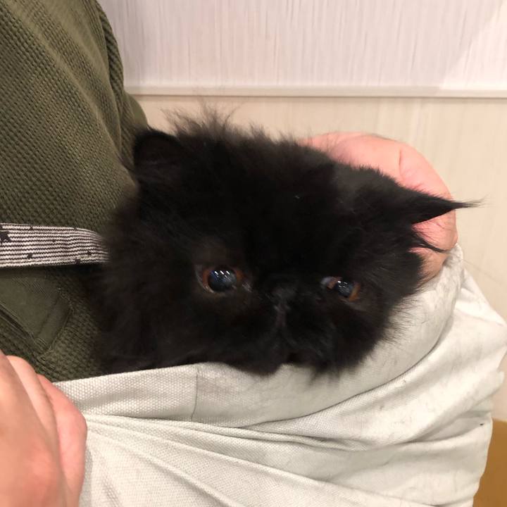 229cdbb5 2183 4cb7 8613 cbecb0c53d31 1624107887197